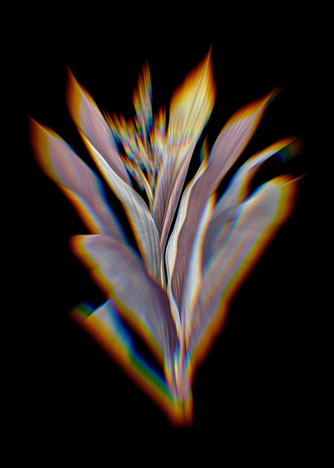 Prism Cordyline Fruticosa