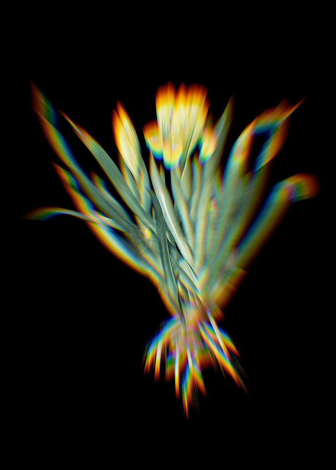 Prism Crimean Iris
