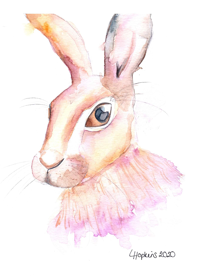 British hare wildlife art
