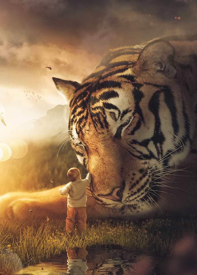 The Huge Tiger