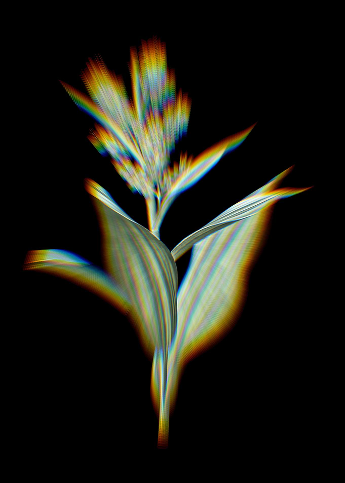 Prism False Helleborine