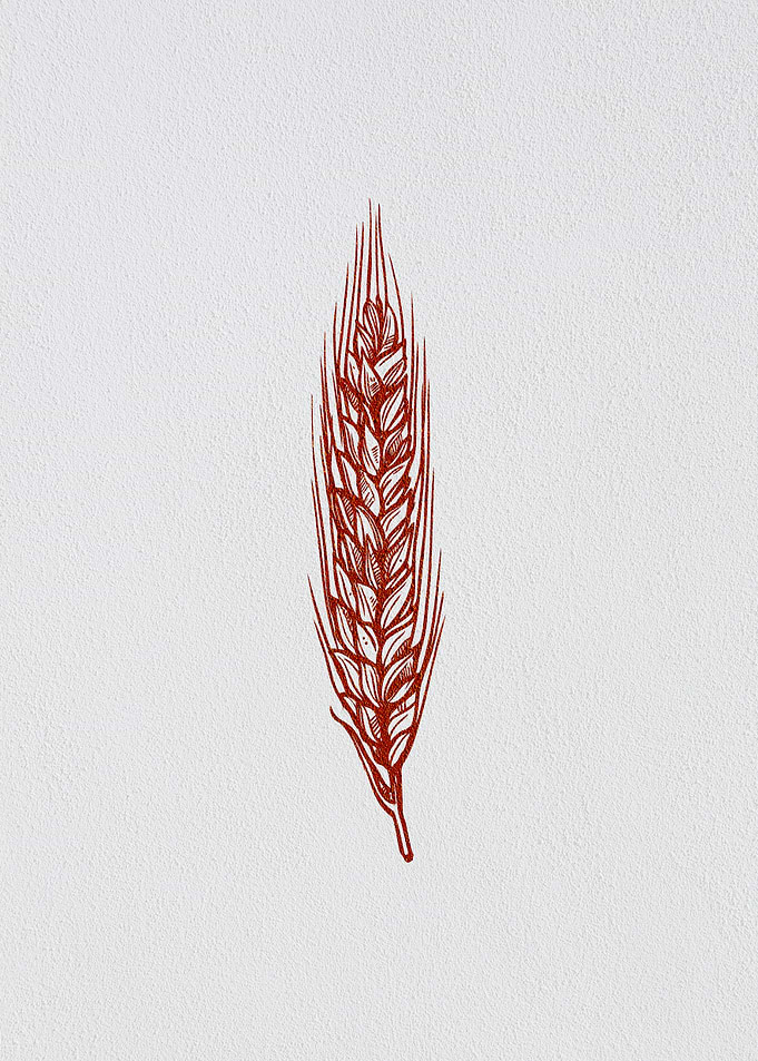 Minimalist Barley Grain