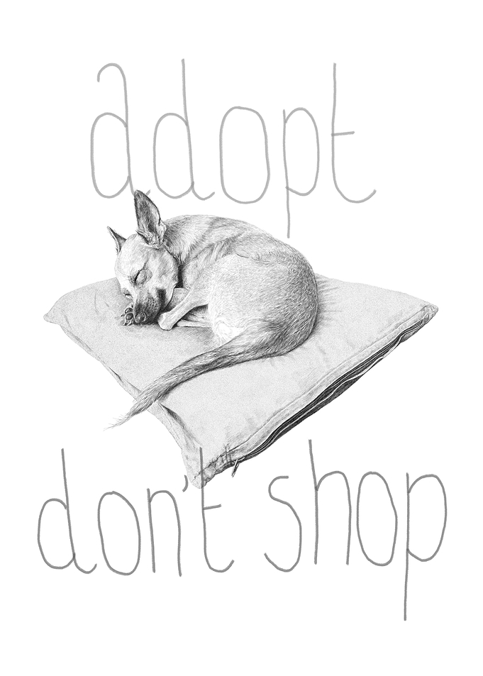 Adopt dont shop