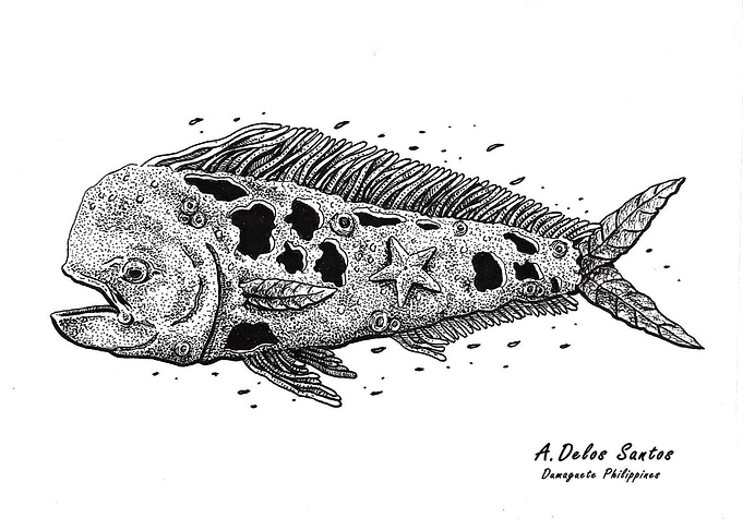Mahi mahi