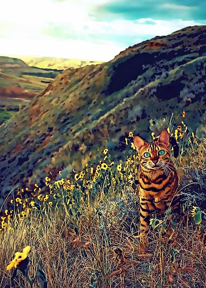 Animal 18