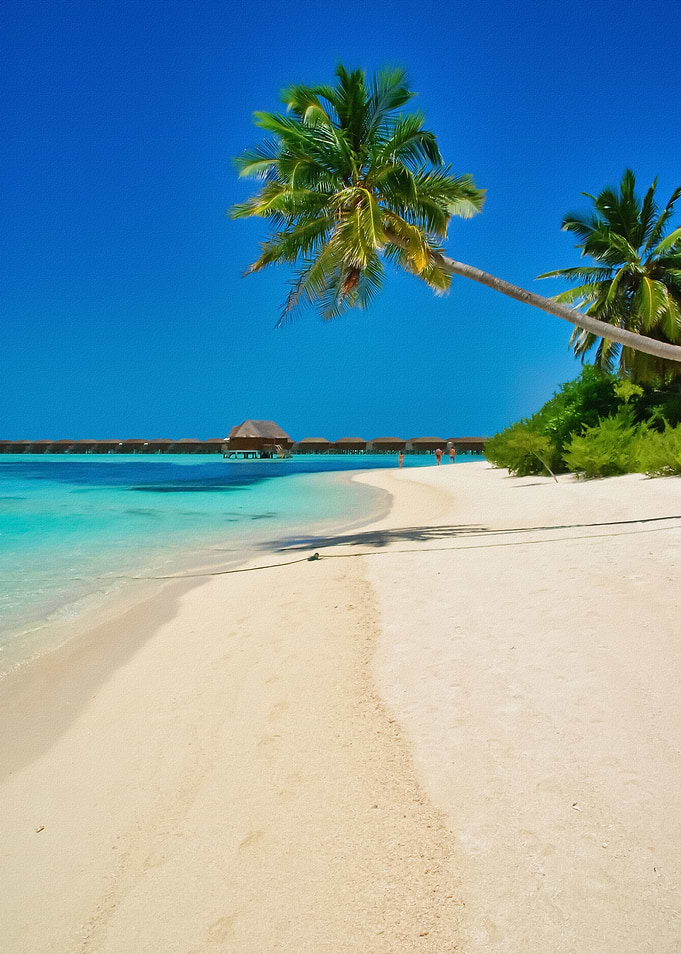Maldives Sea Ocean Wate