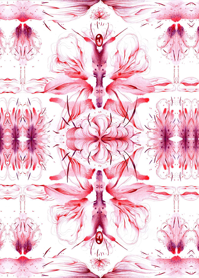 mariposas