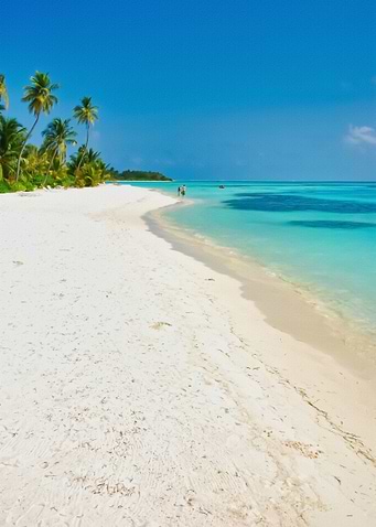 Tropical