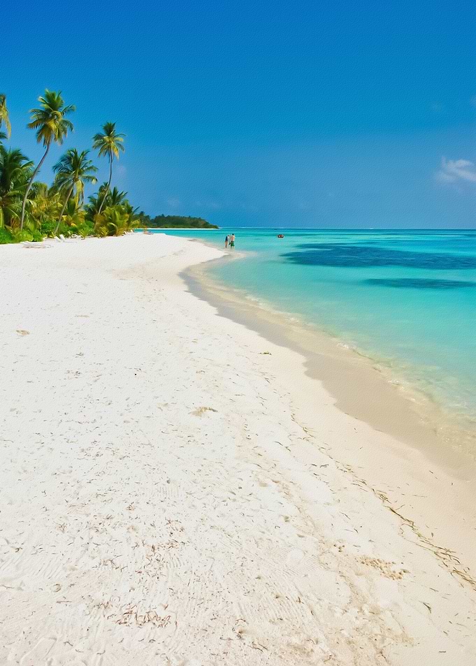 Tropical