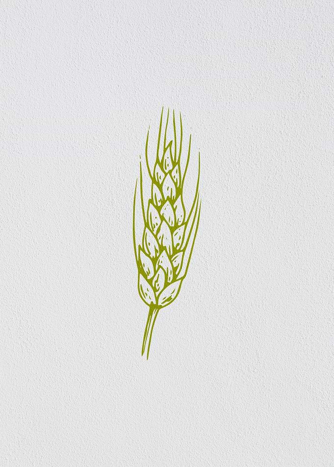 Minimalist Barley Grain