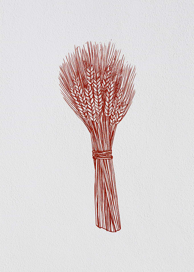 Minimalist Barley Grains