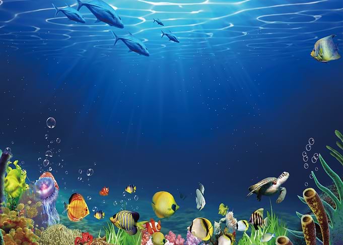 Fishes Ocean Underwater