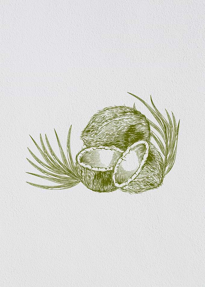 Minimalist Fruit Coconut