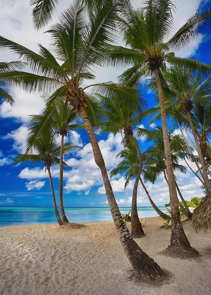 Tropical