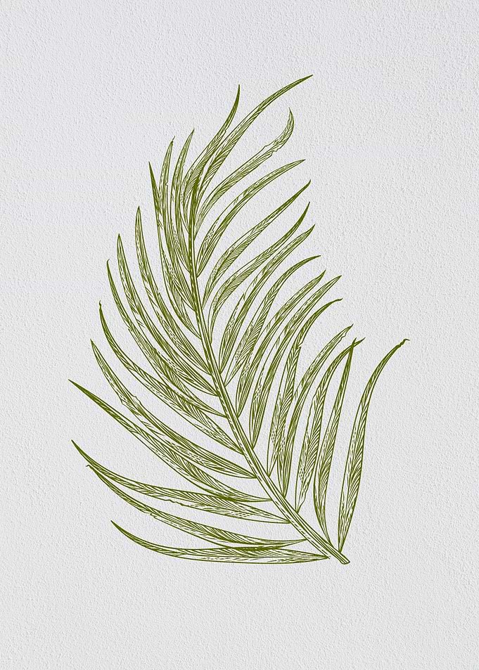 Minimalist Coconut Leaf