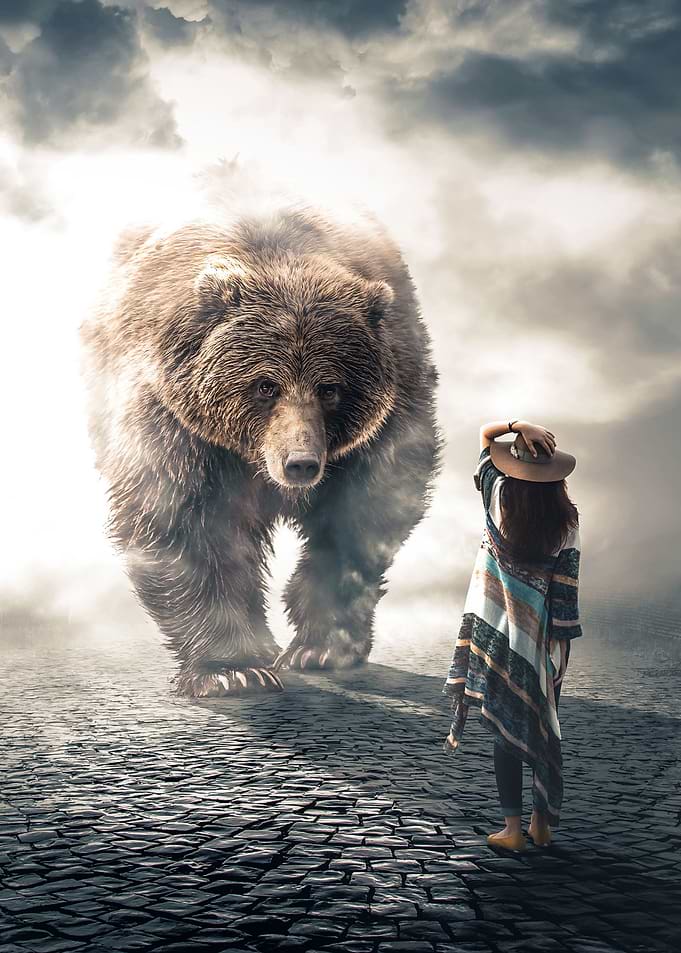 The Giant Bear
