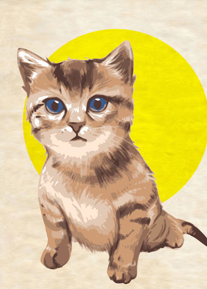 Cute Cat Sunny