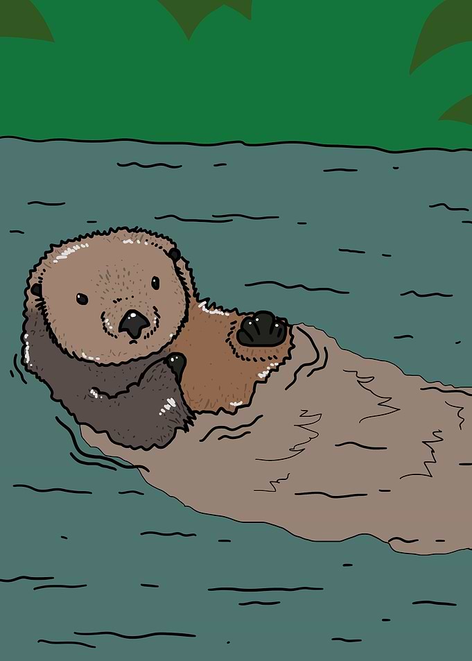Sea otter