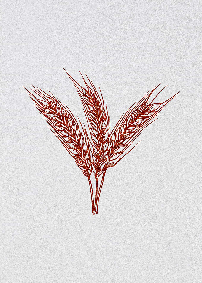 Minimalist Barley Grain