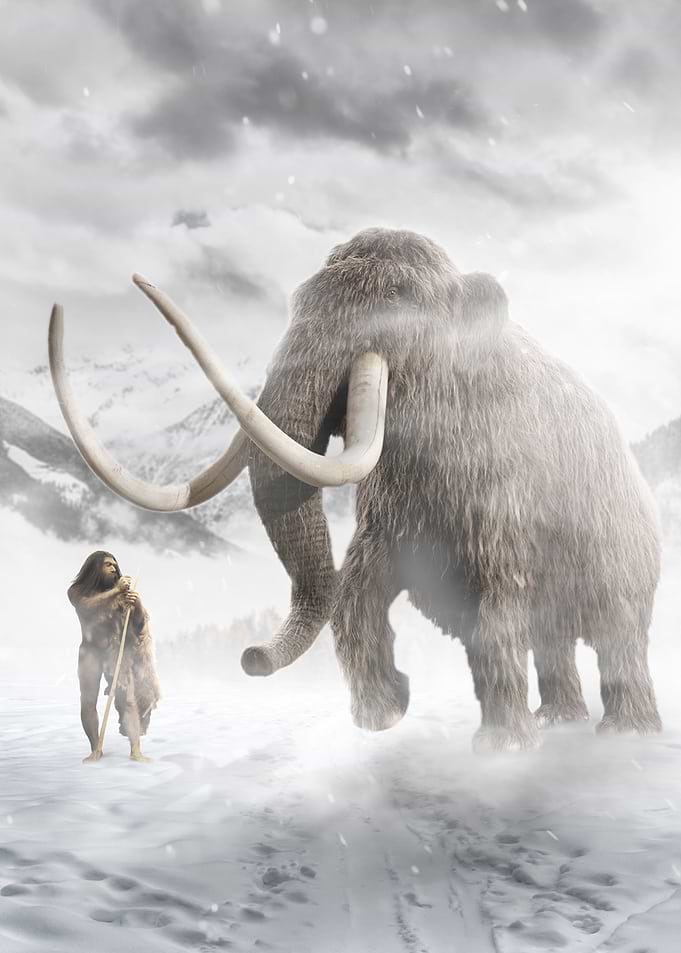 The Mammut