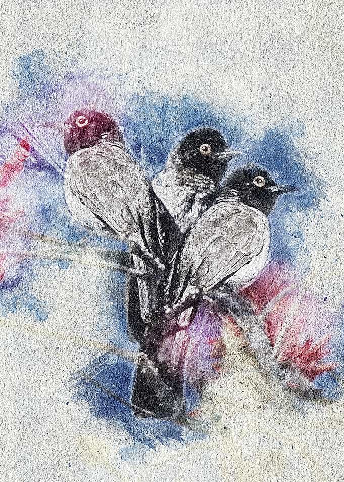 Watercolor Bird Painting