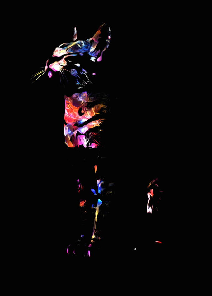 Abstract Cat