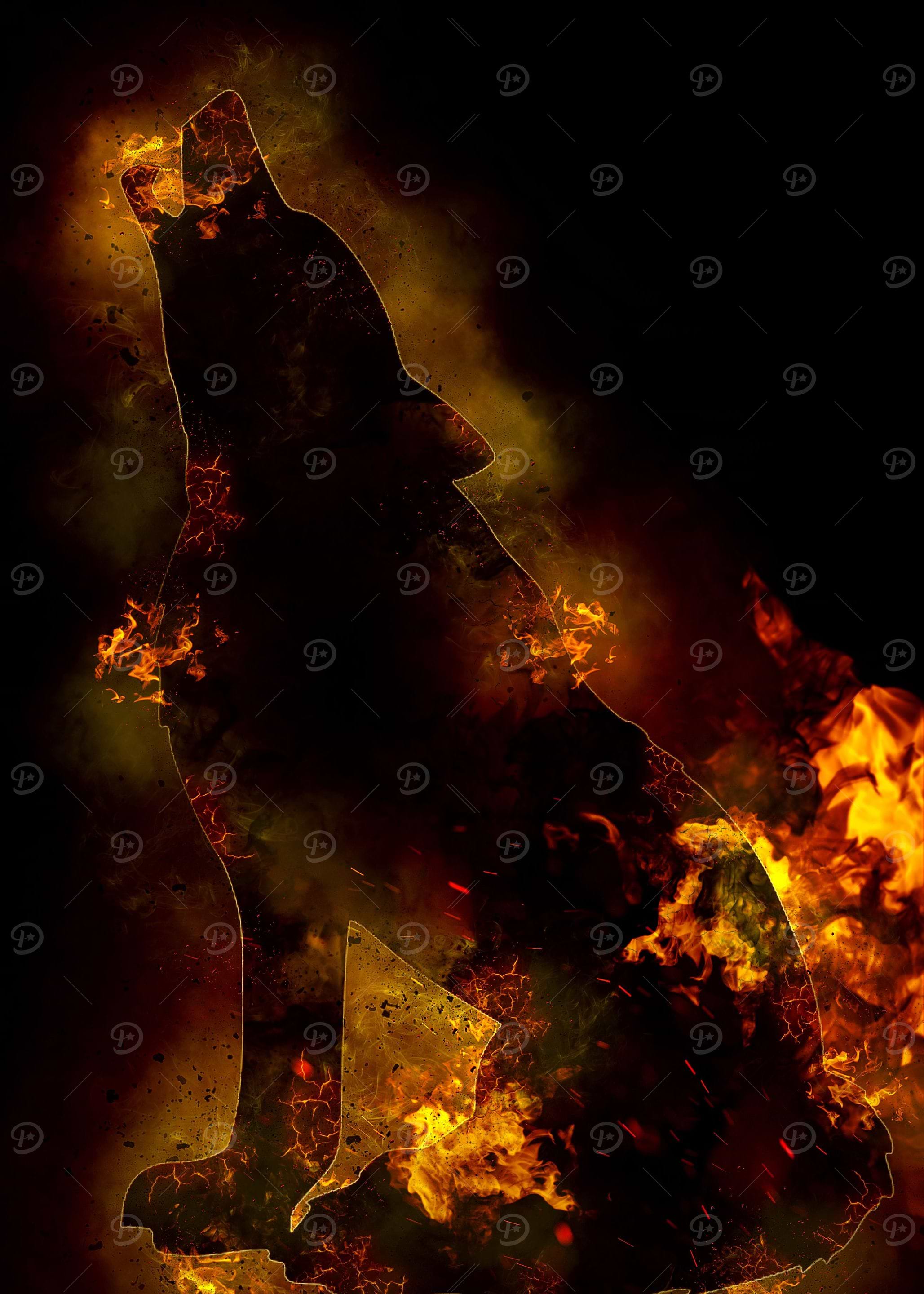 wolf fire