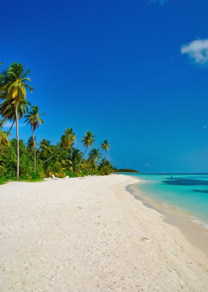 Tropical