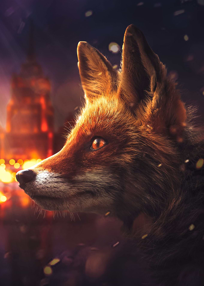 The Fox in Moscow