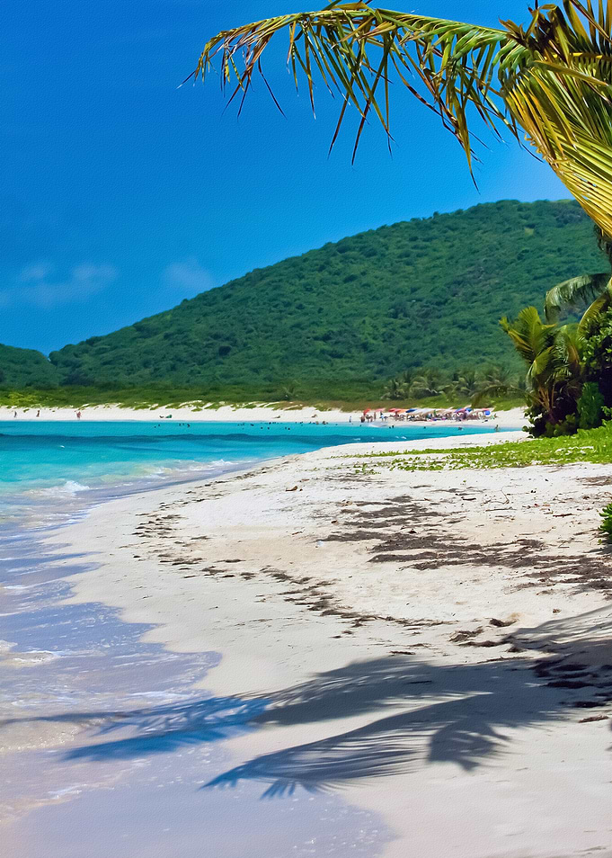 Tropical