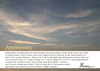 AMmensity