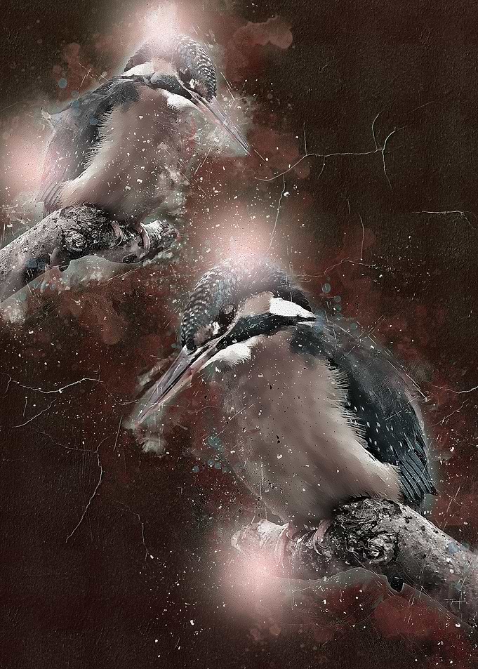 Watercolor Bird Painting