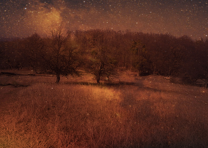 The night