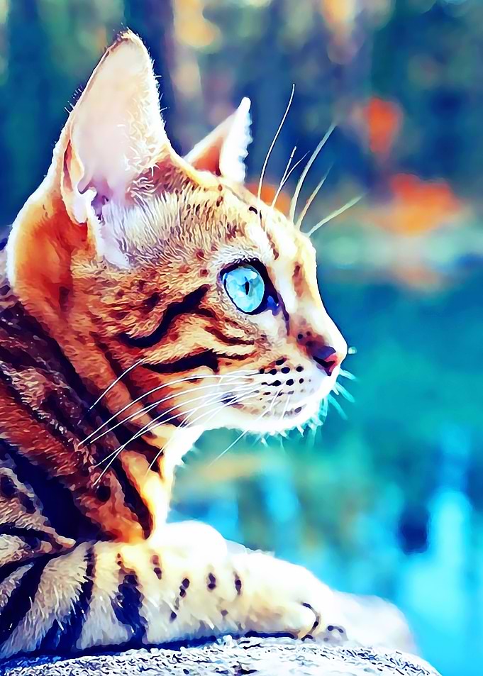 Animal 55