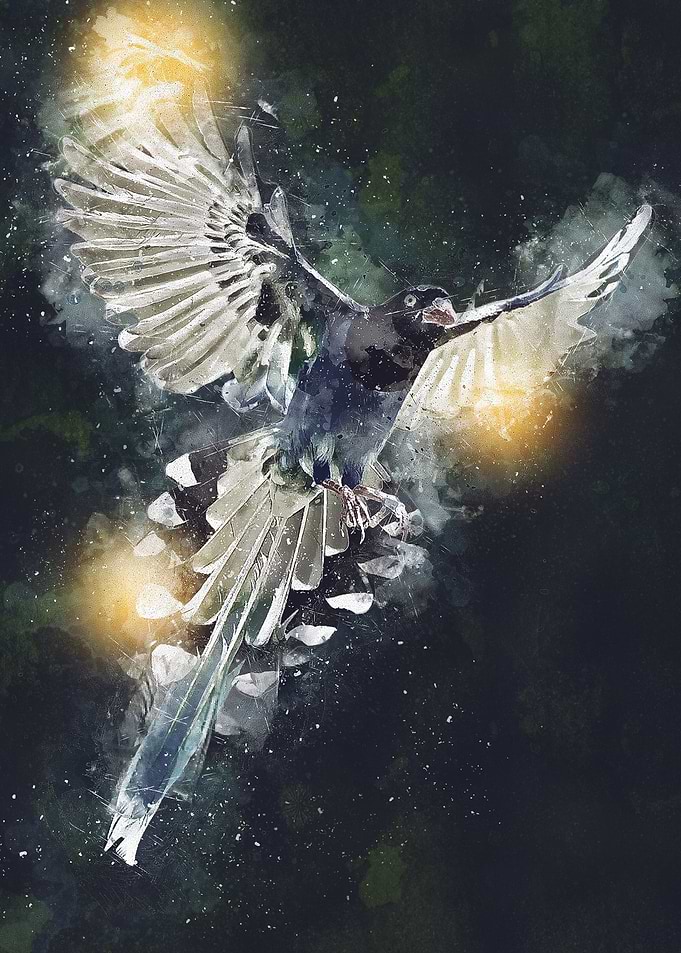 Watercolor Bird Painting