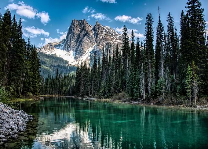 Forest Mountains Canada