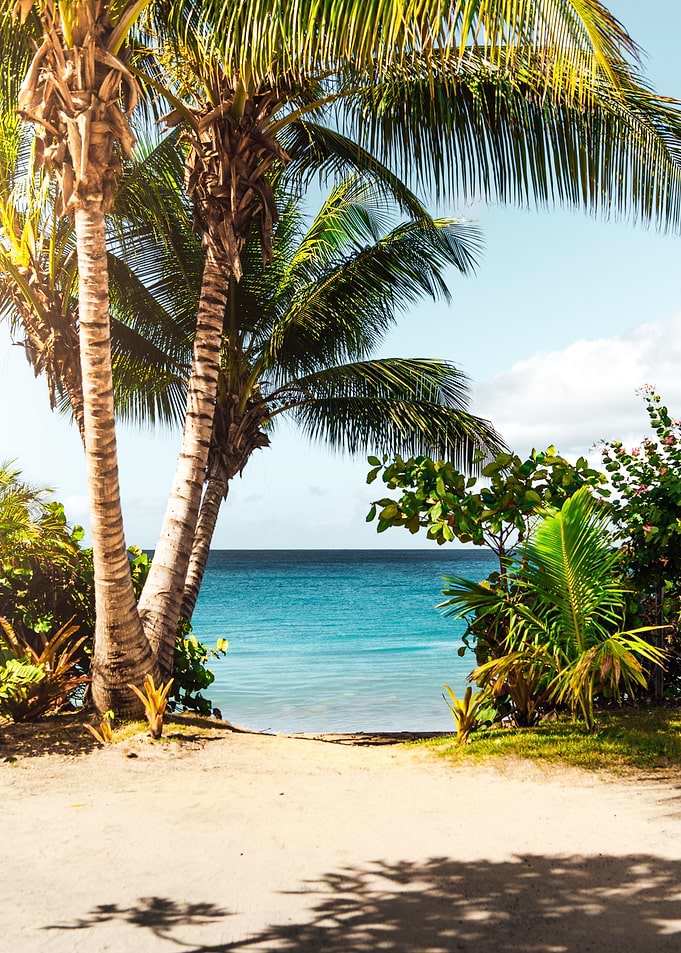 Sandy Palm Beach