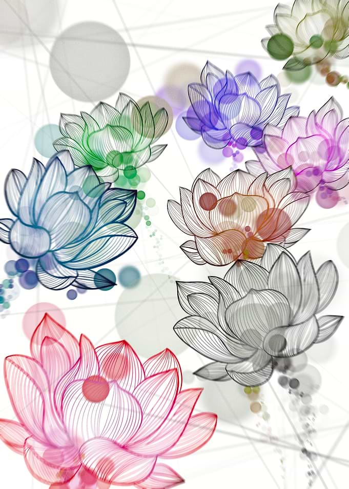 Flower Field