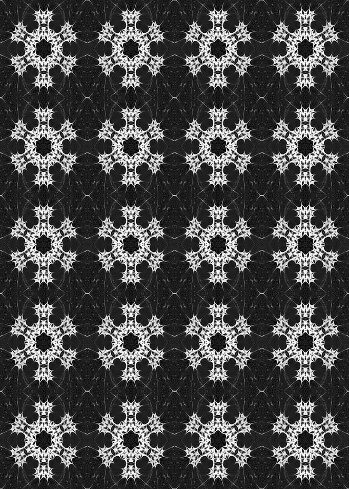 Dark Star