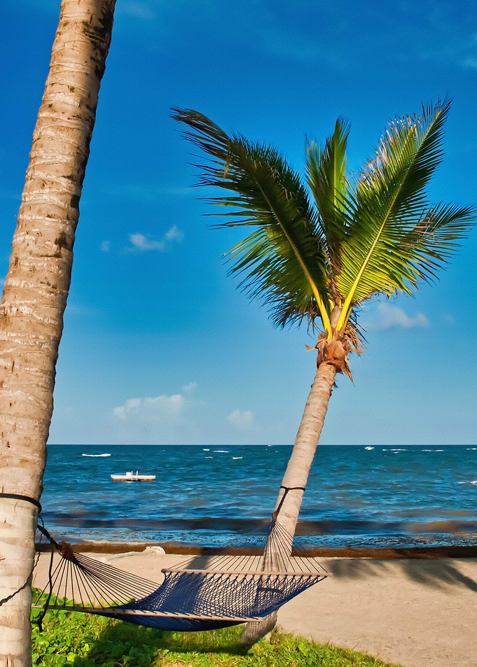 Tropical