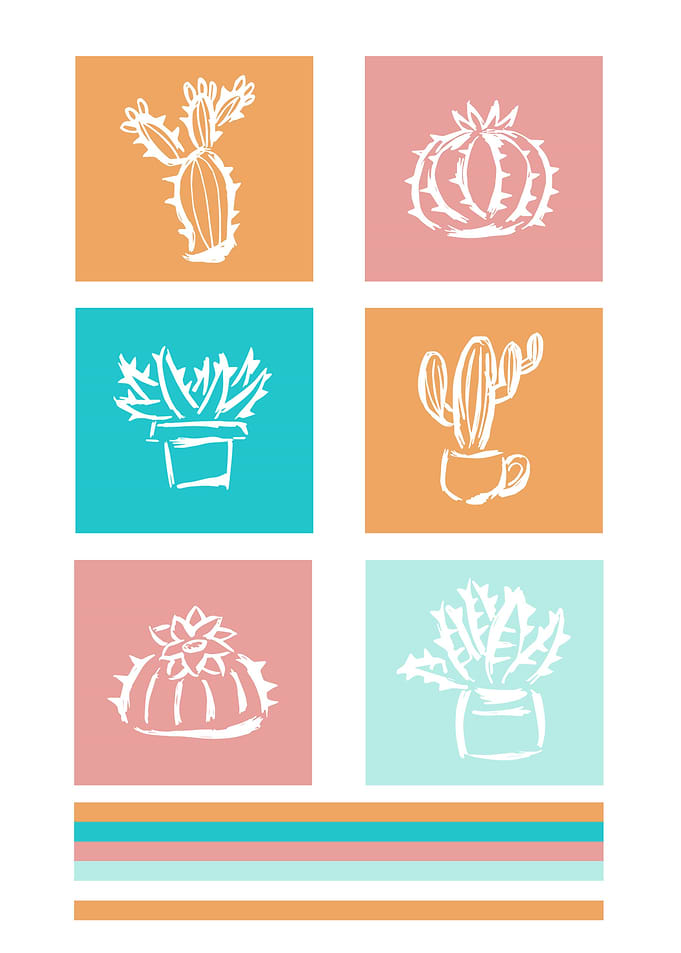 Cactus Cute Colorful
