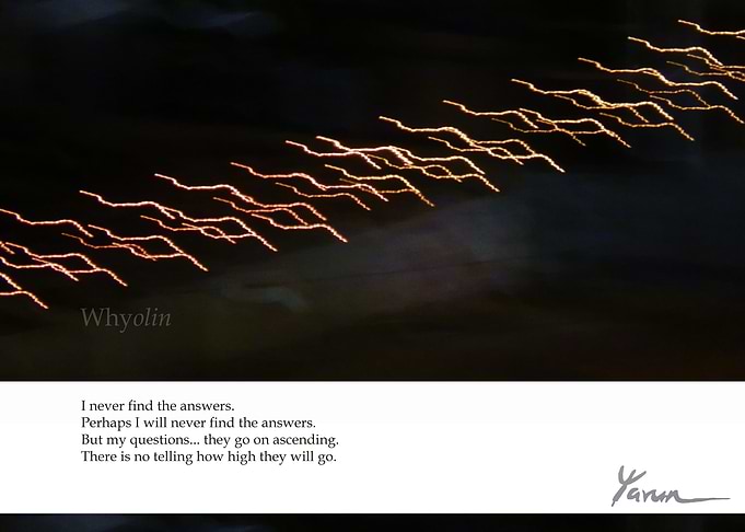 WHYolin