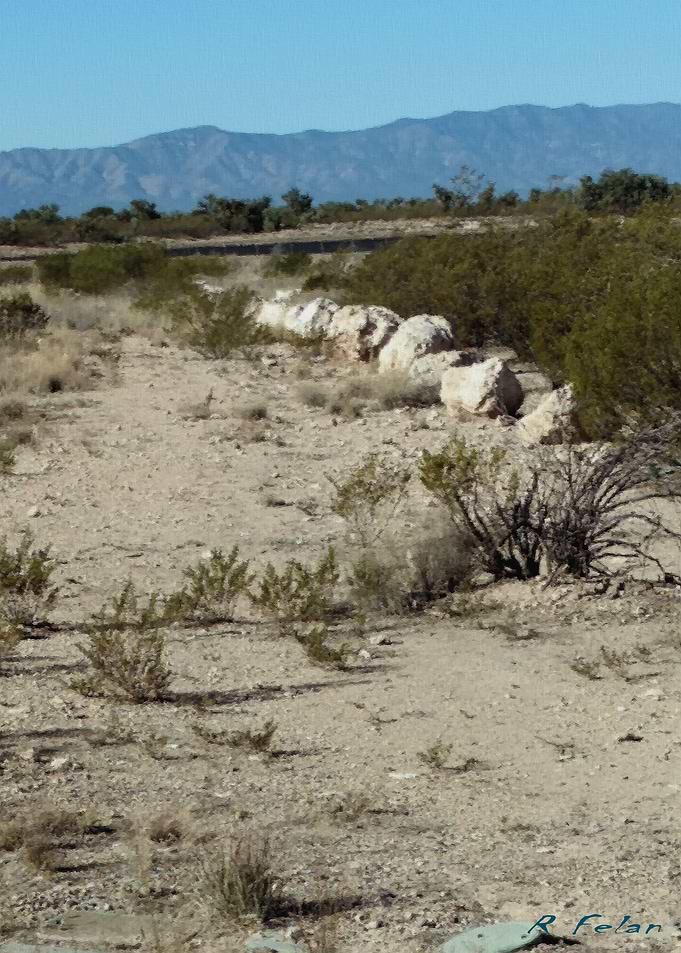 Desert Trail