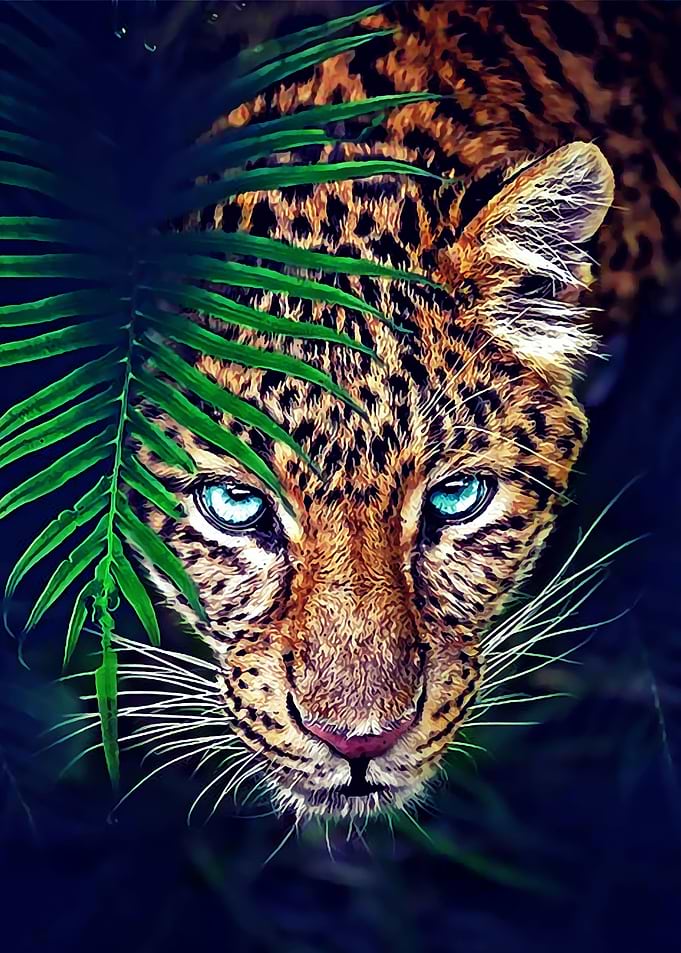 Animal 59