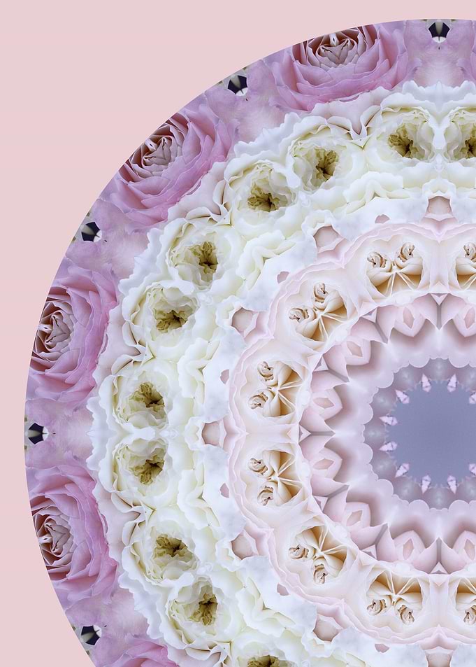 Rose Petal Mandala
