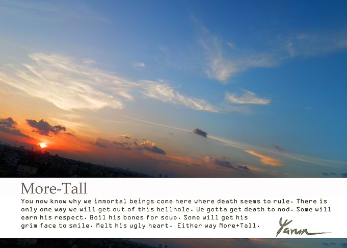 MoreTall
