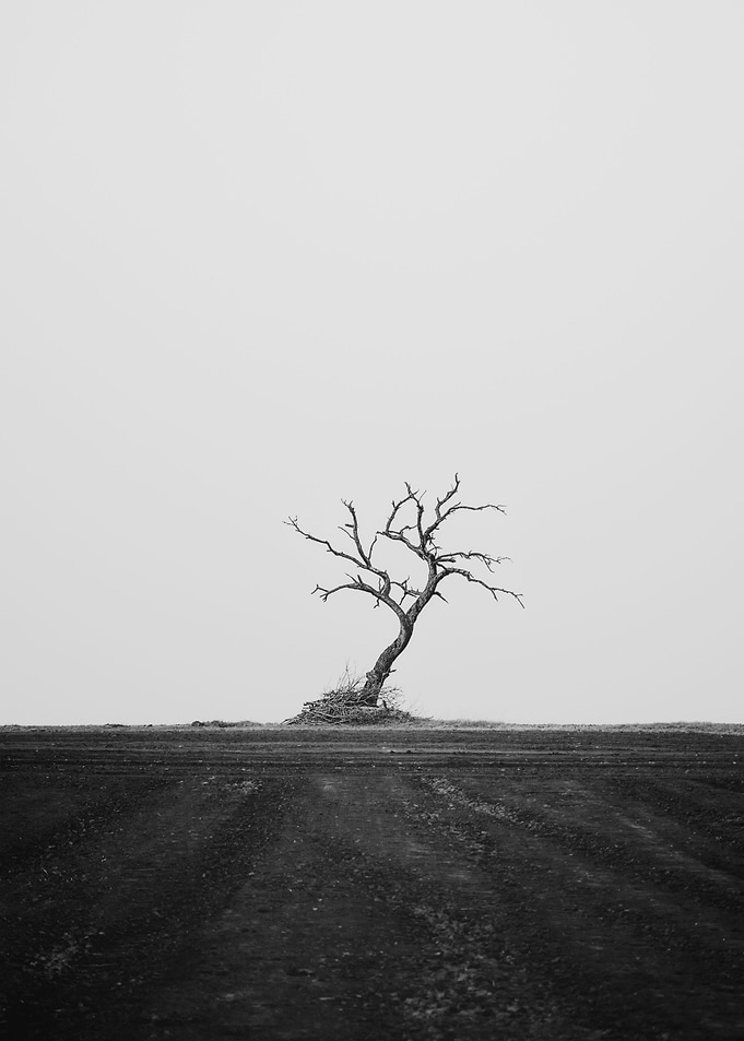 End of the Land