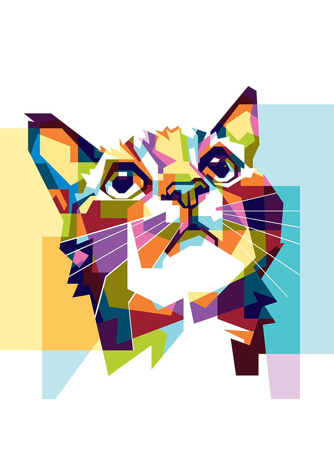 Colorful Cat Face Animal