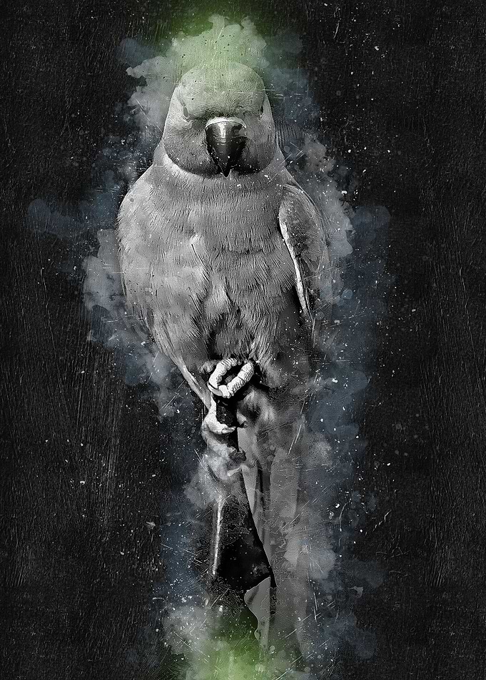 Watercolor Bird Painting