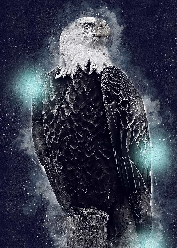 Watercolor Eagle Painting